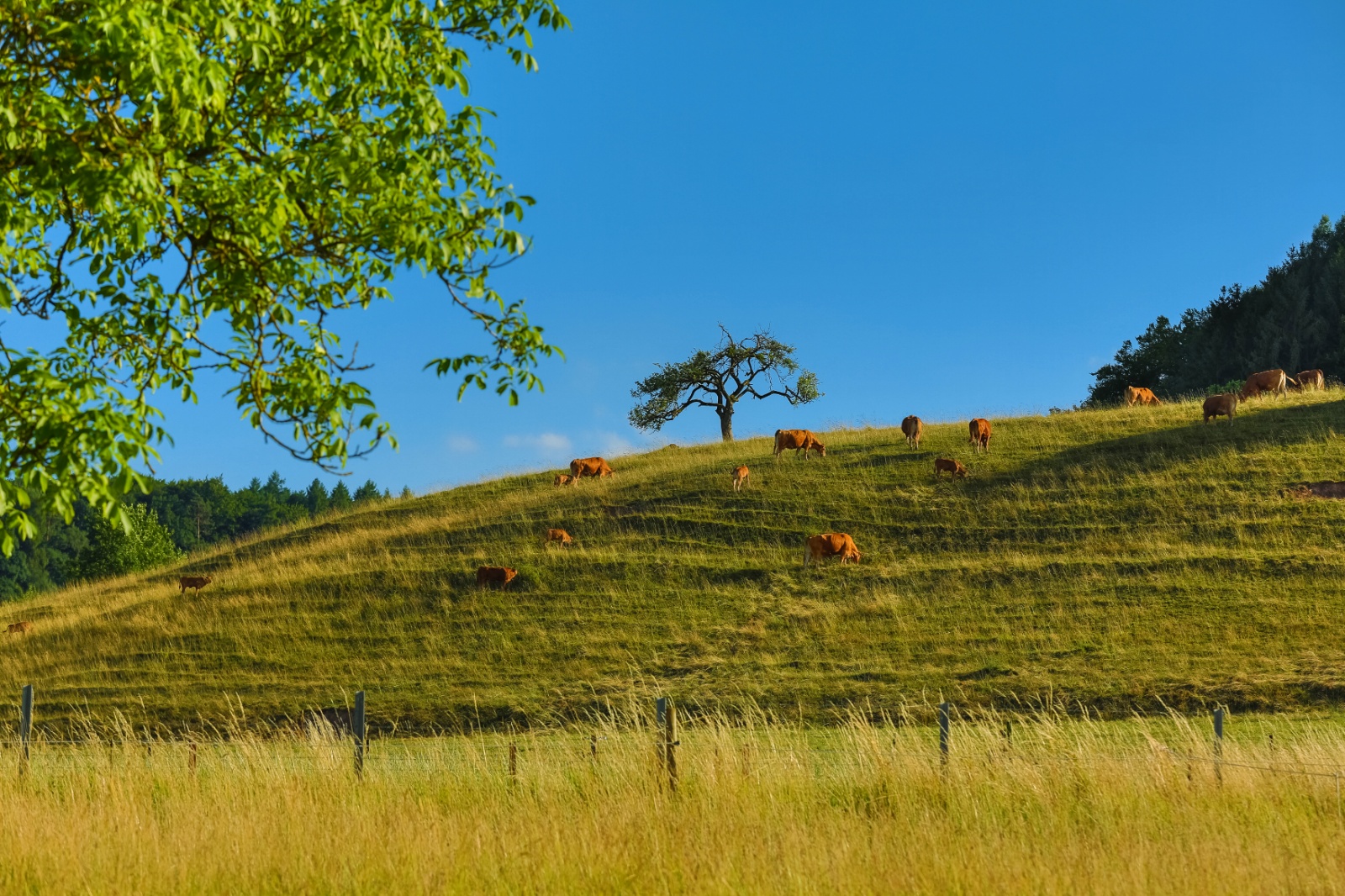 Khaledfrikha photographe paysage nancy lorraine site web kf 2018  (4)095041
